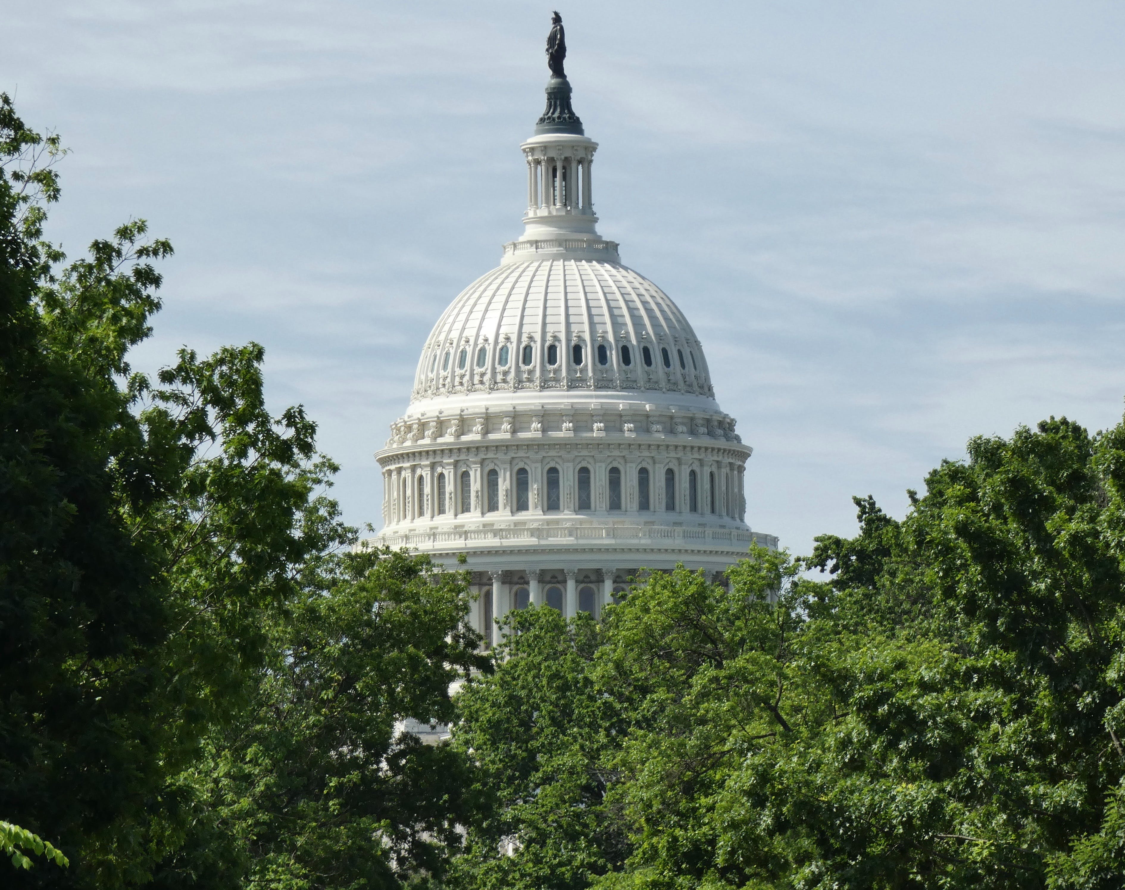 Image of the dome of the US Capitol building. The sky is blue and there are trees in the foreground.